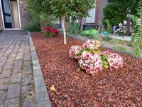 Cacaodoppen als bodembedekking - 5 vragen en antwoorden