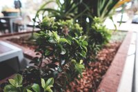 Kantafsluiting en randafwerking | Creëer fantastische tuinborders