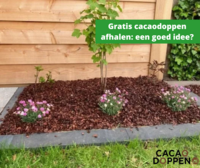 Gratis cacaodoppen afhalen: is het de moeite waard?