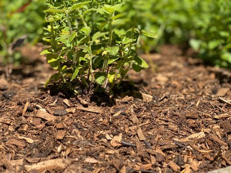 Houtmulch - 3m³ (big bag)